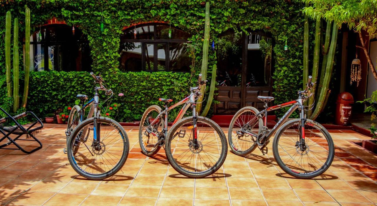 Huaraz Colonial Hostel ภายนอก รูปภาพ
